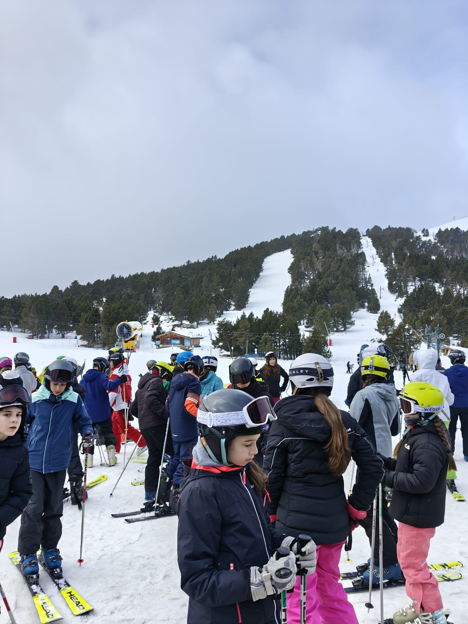 WhatsApp Image 2025-02-17 at 17.54.26 (5)