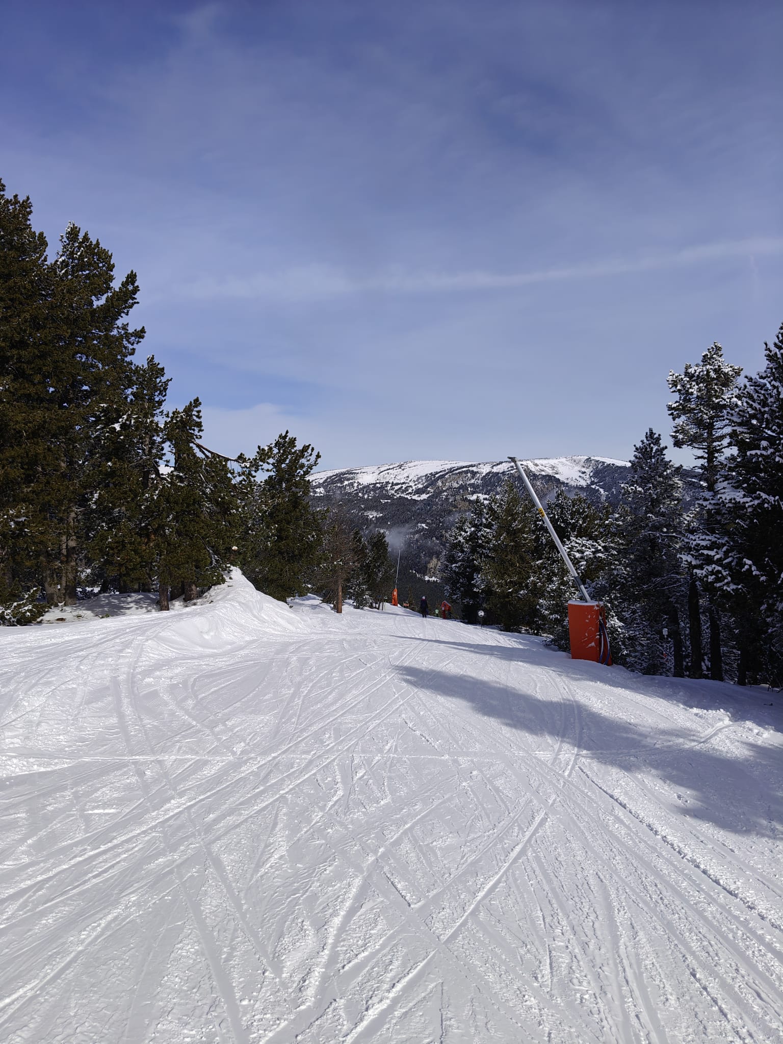 WhatsApp Image 2025-02-17 at 17.54.27 (5)