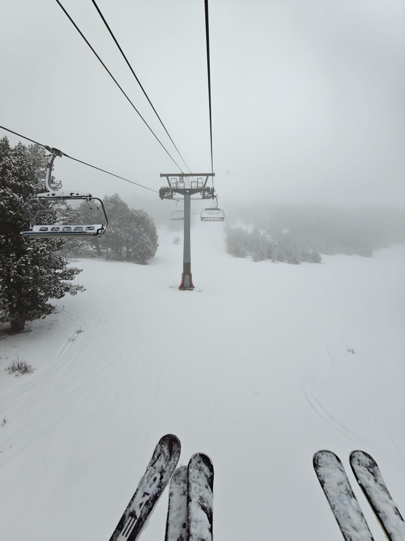 WhatsApp Image 2025-02-17 at 17.54.28 (2)