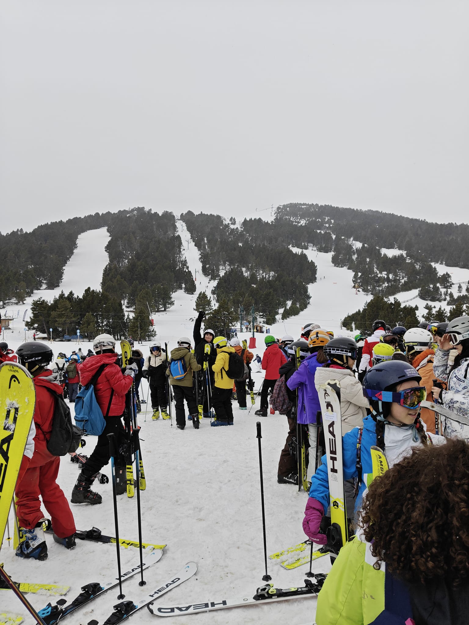 WhatsApp Image 2025-02-17 at 17.54.29 (3)