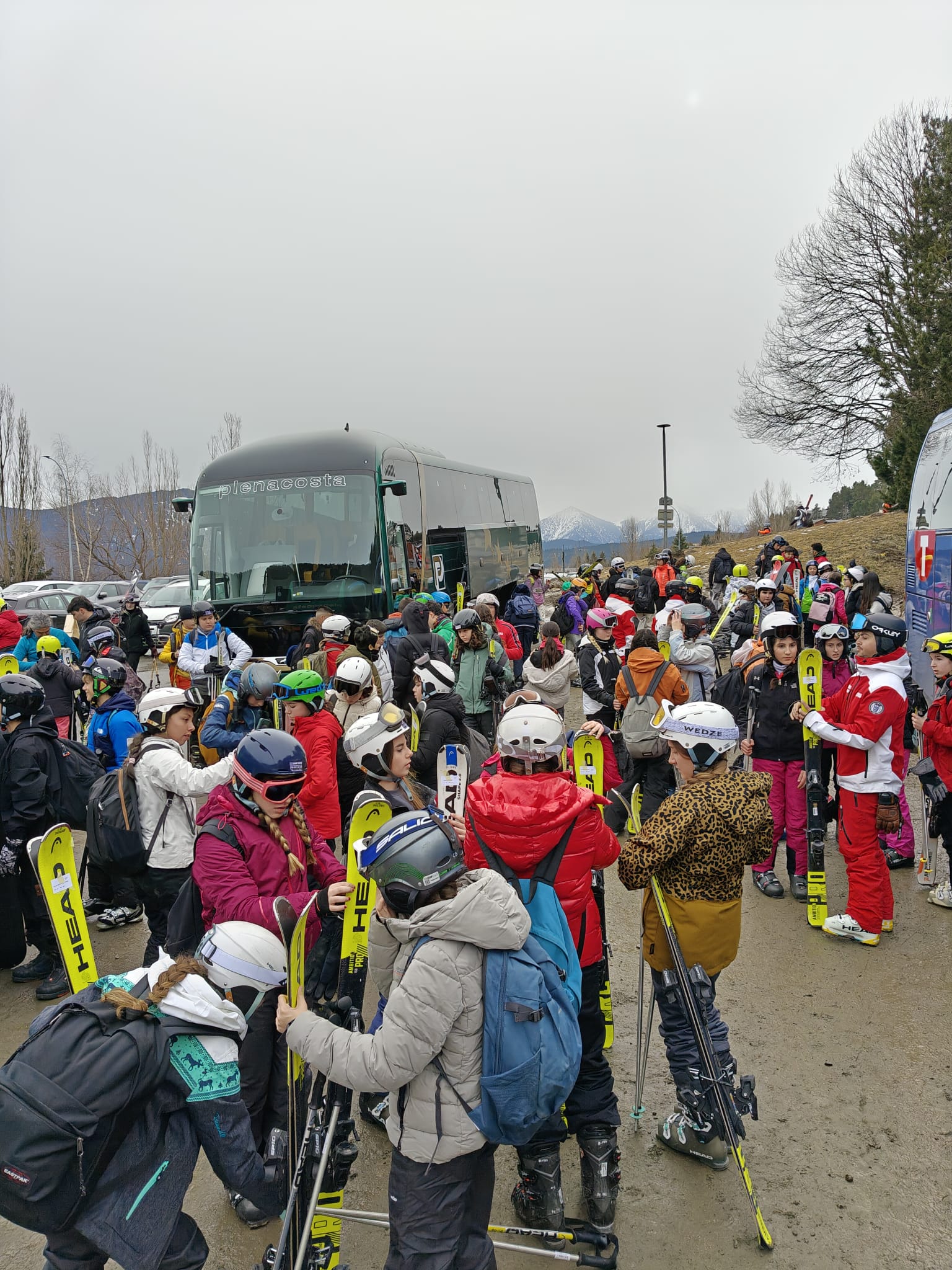 WhatsApp Image 2025-02-17 at 17.54.29 (4)