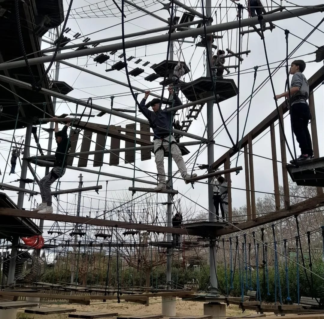 WhatsApp Image 2025-03-17 at 09.46.20 (1)