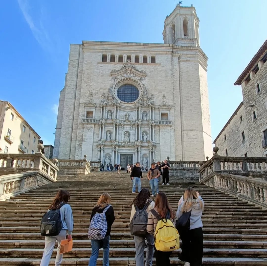 WhatsApp Image 2025-03-17 at 09.46.20 (4)