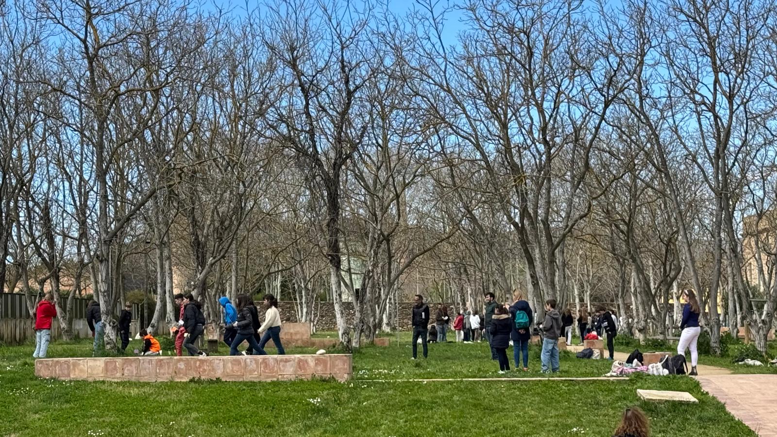 WhatsApp Image 2025-03-29 at 18.57.54(1)