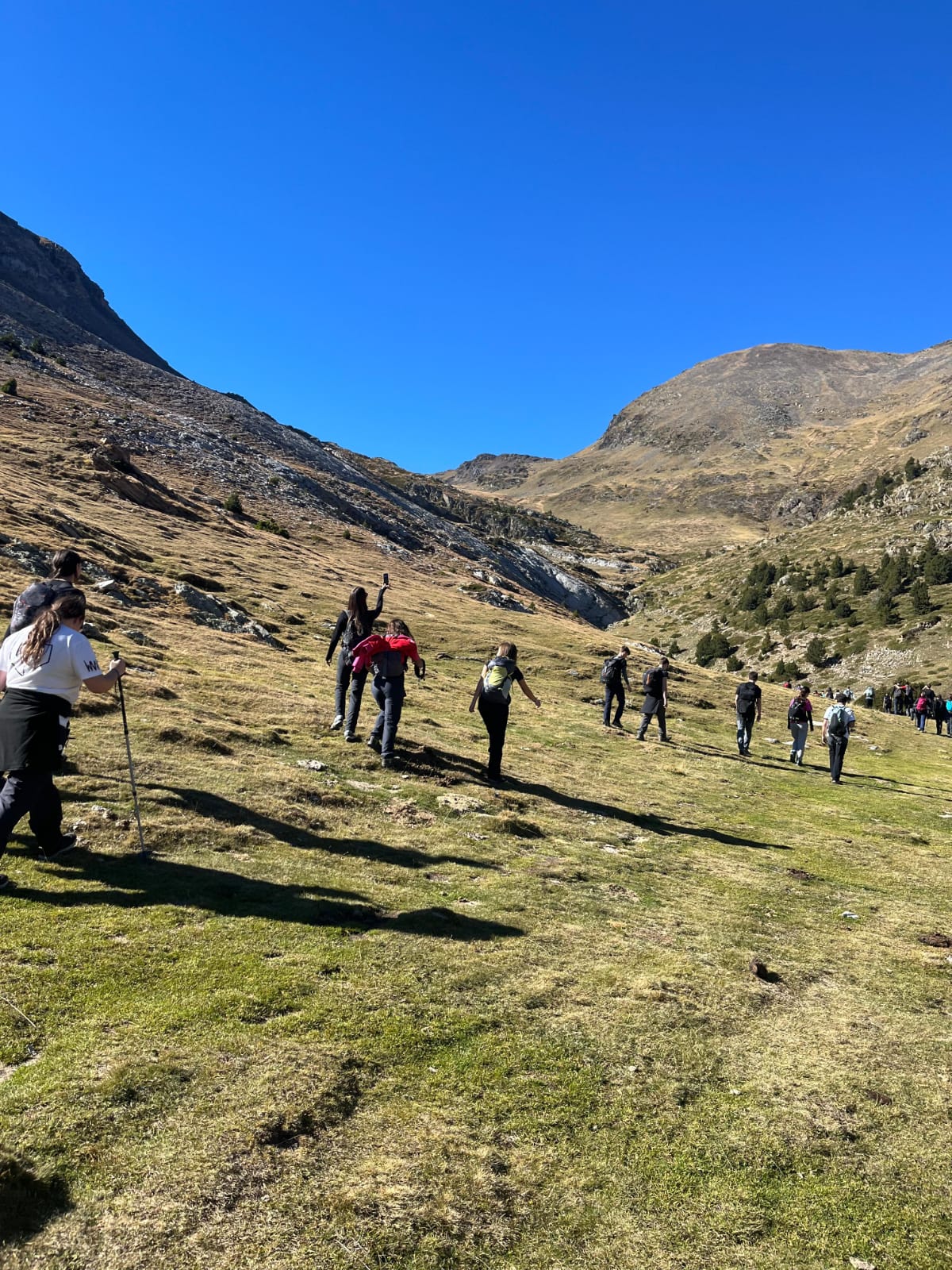 WhatsApp Image 2025-11-03 at 12.39.04