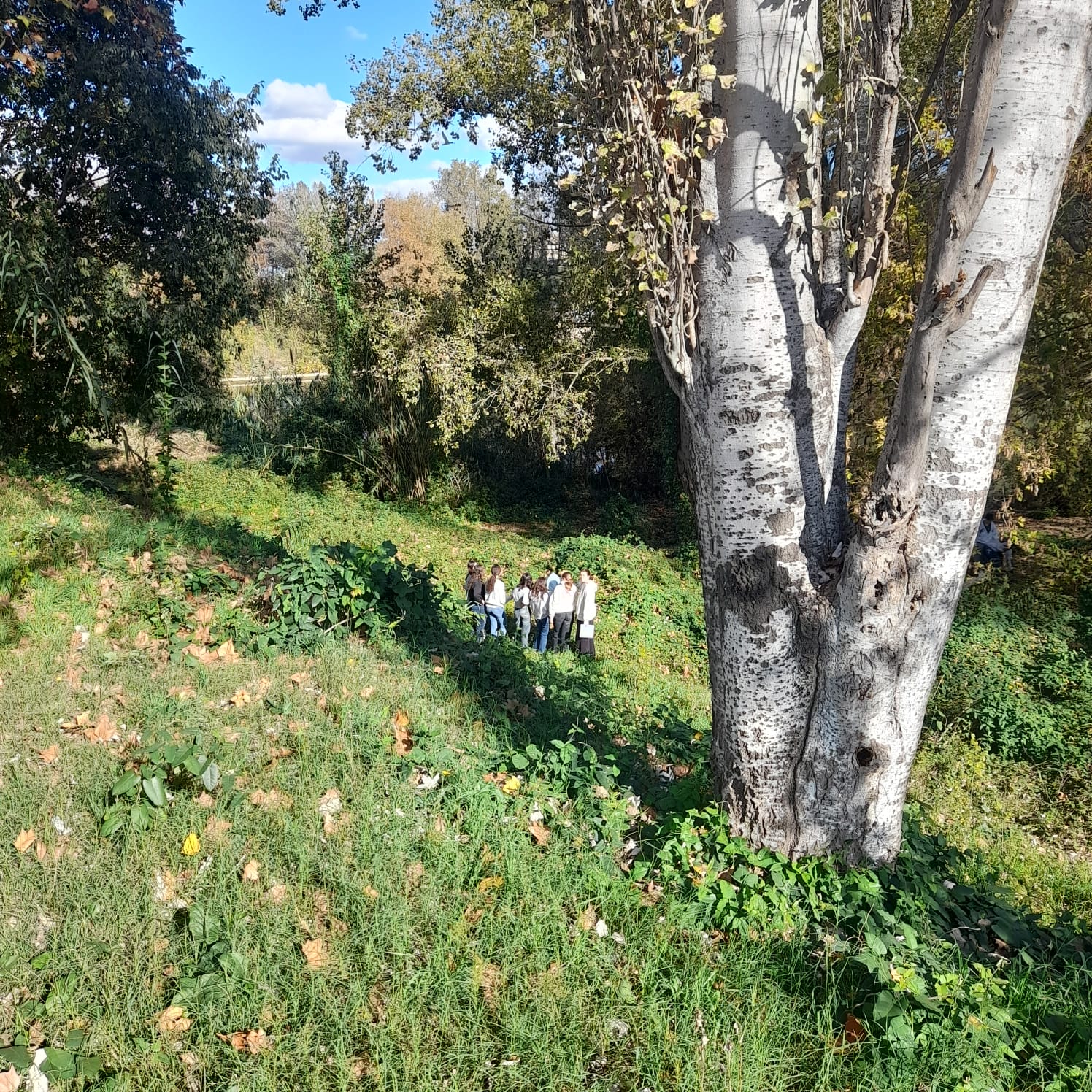 WhatsApp Image 2025-11-18 at 12.17.20 (2)