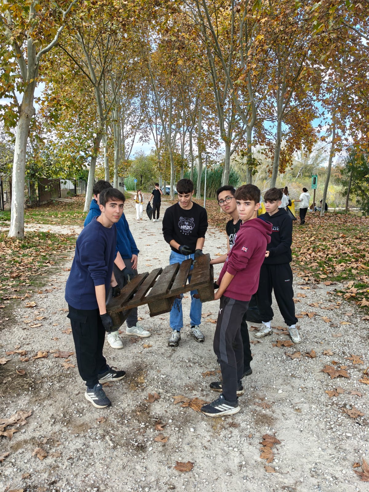 WhatsApp Image 2025-11-18 at 12.17.30