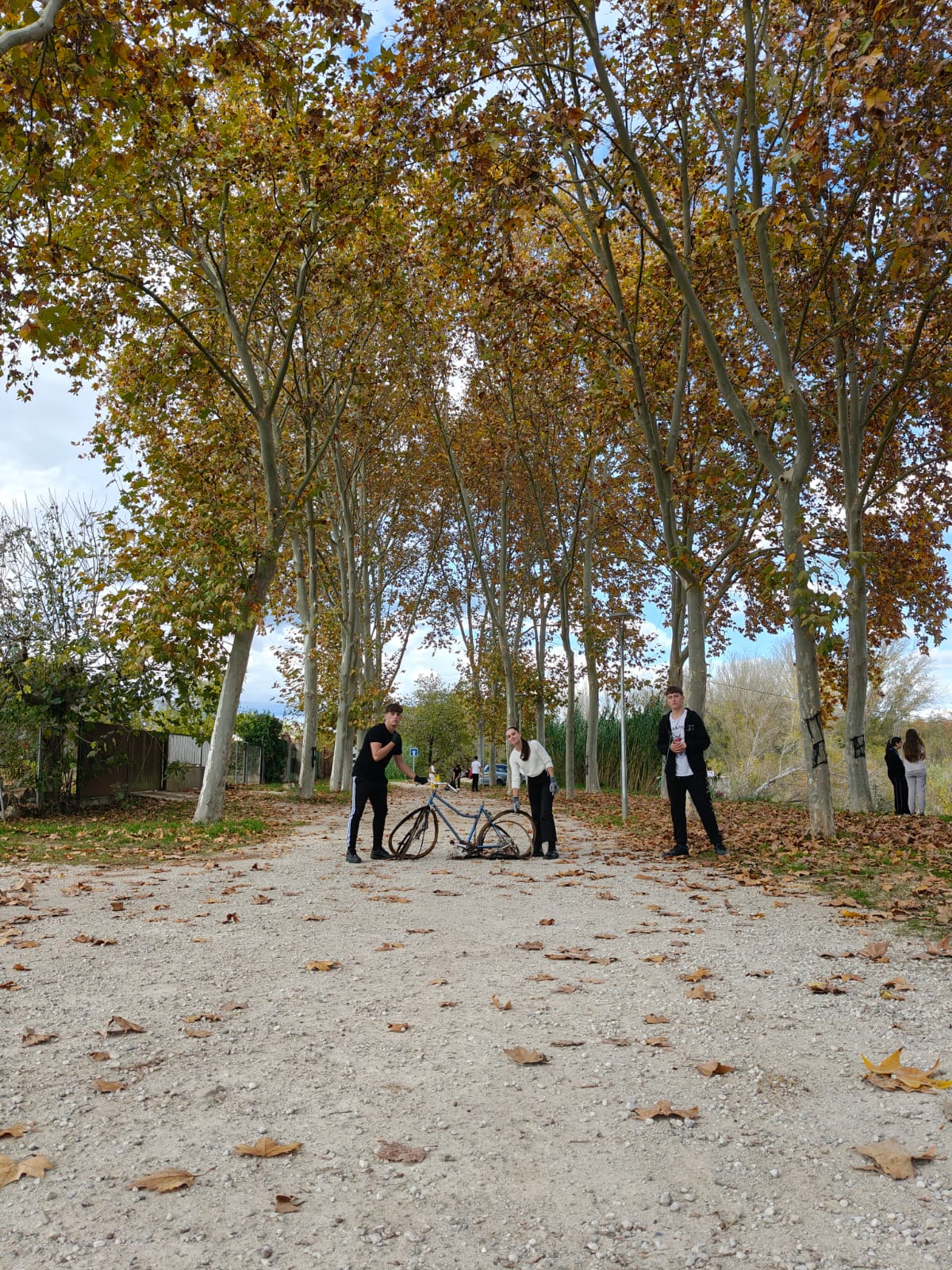 WhatsApp Image 2025-11-18 at 12.17.33 (2)