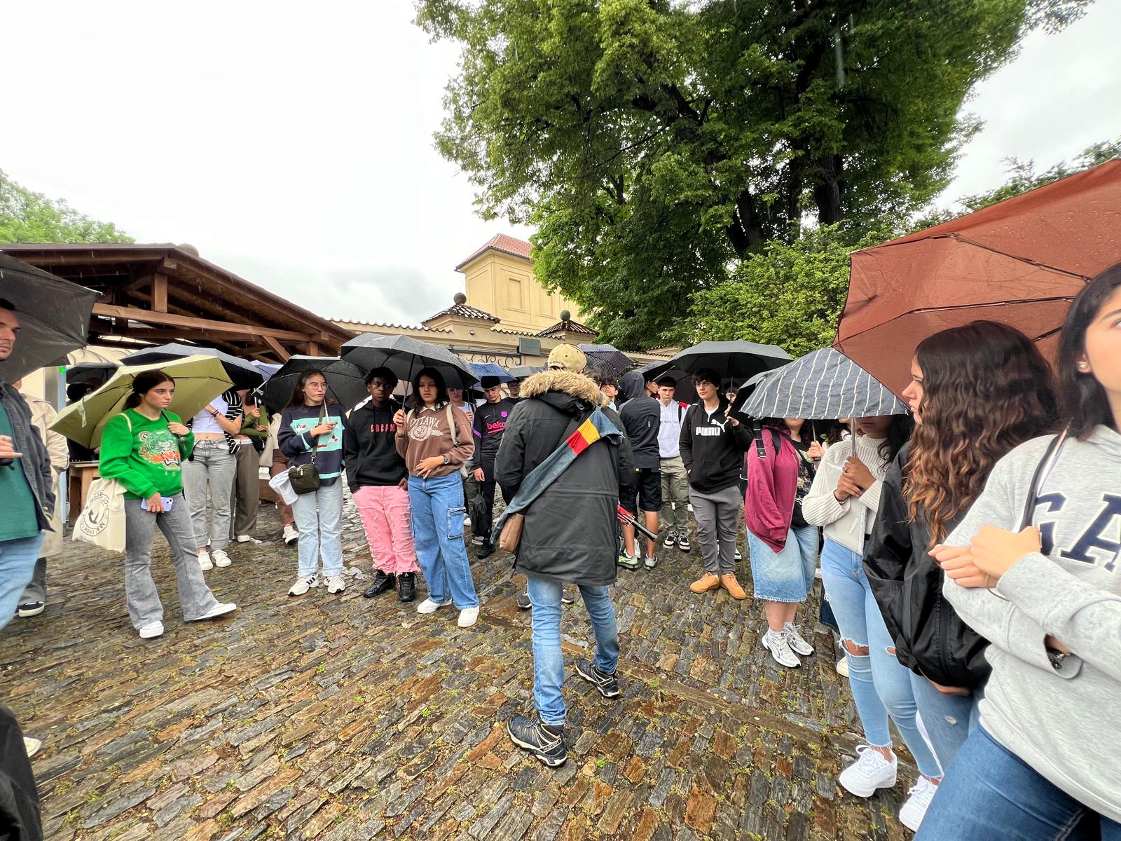 WhatsApp Image 2024-05-28 at 9.37.22 PM (2)