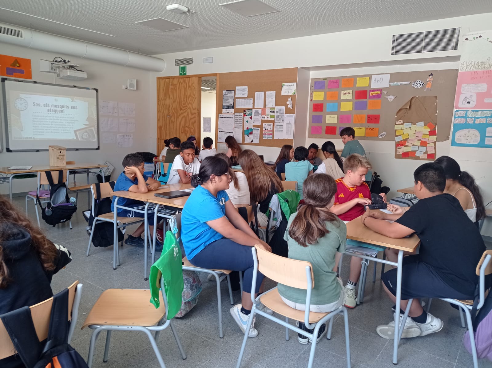 PHOTO-2024-06-26-11-17-31