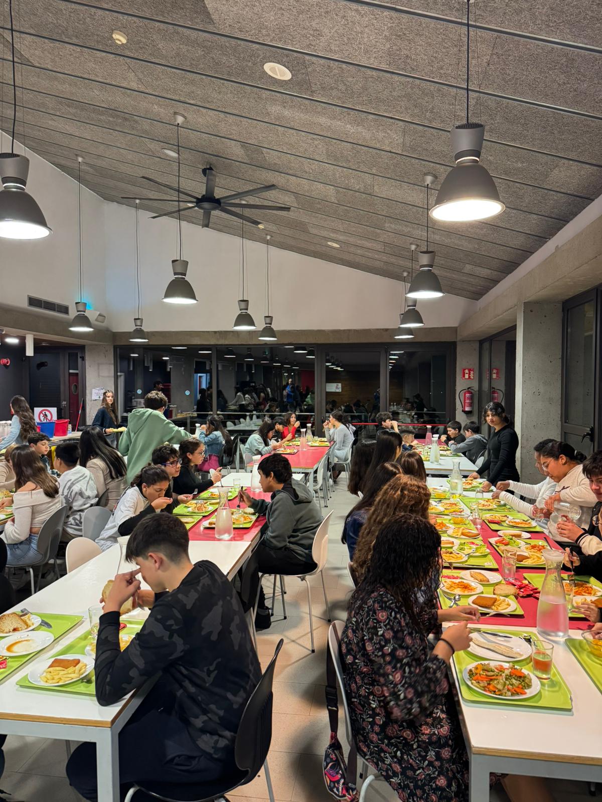 WhatsApp Image 2024-12-13 at 08.06.05