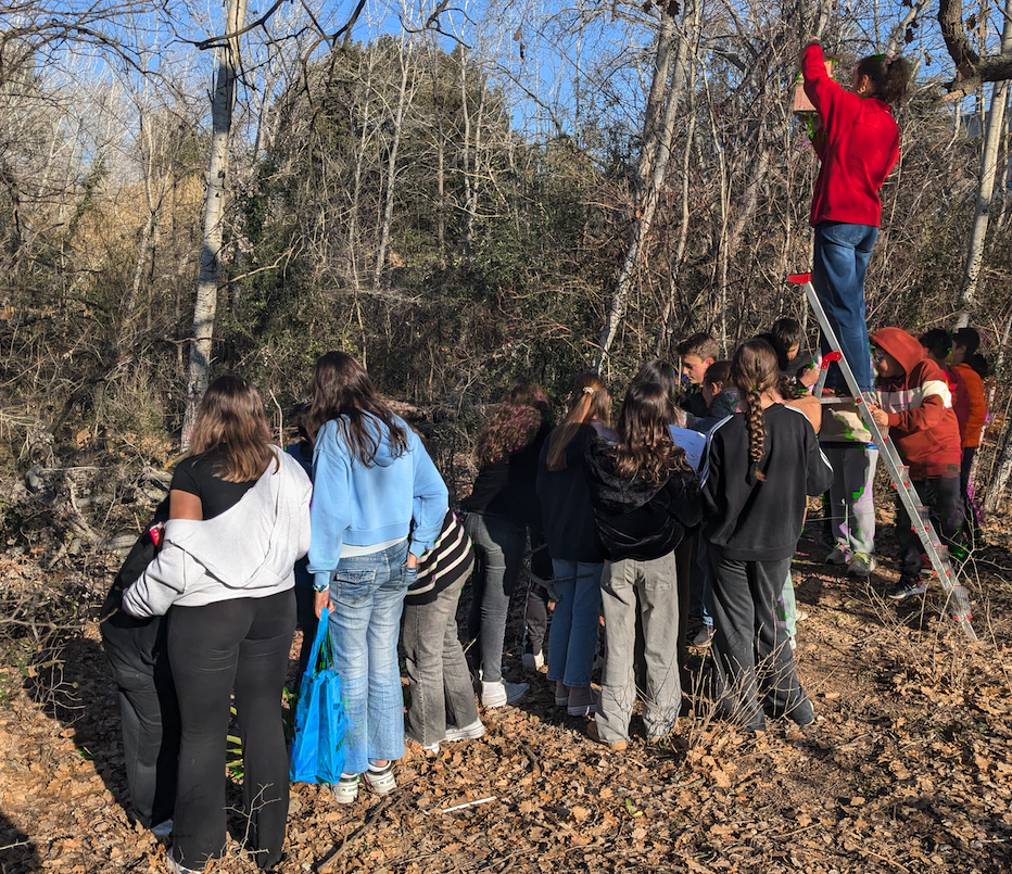 Captura de pantalla 2025-04-25 a les 17.53.57