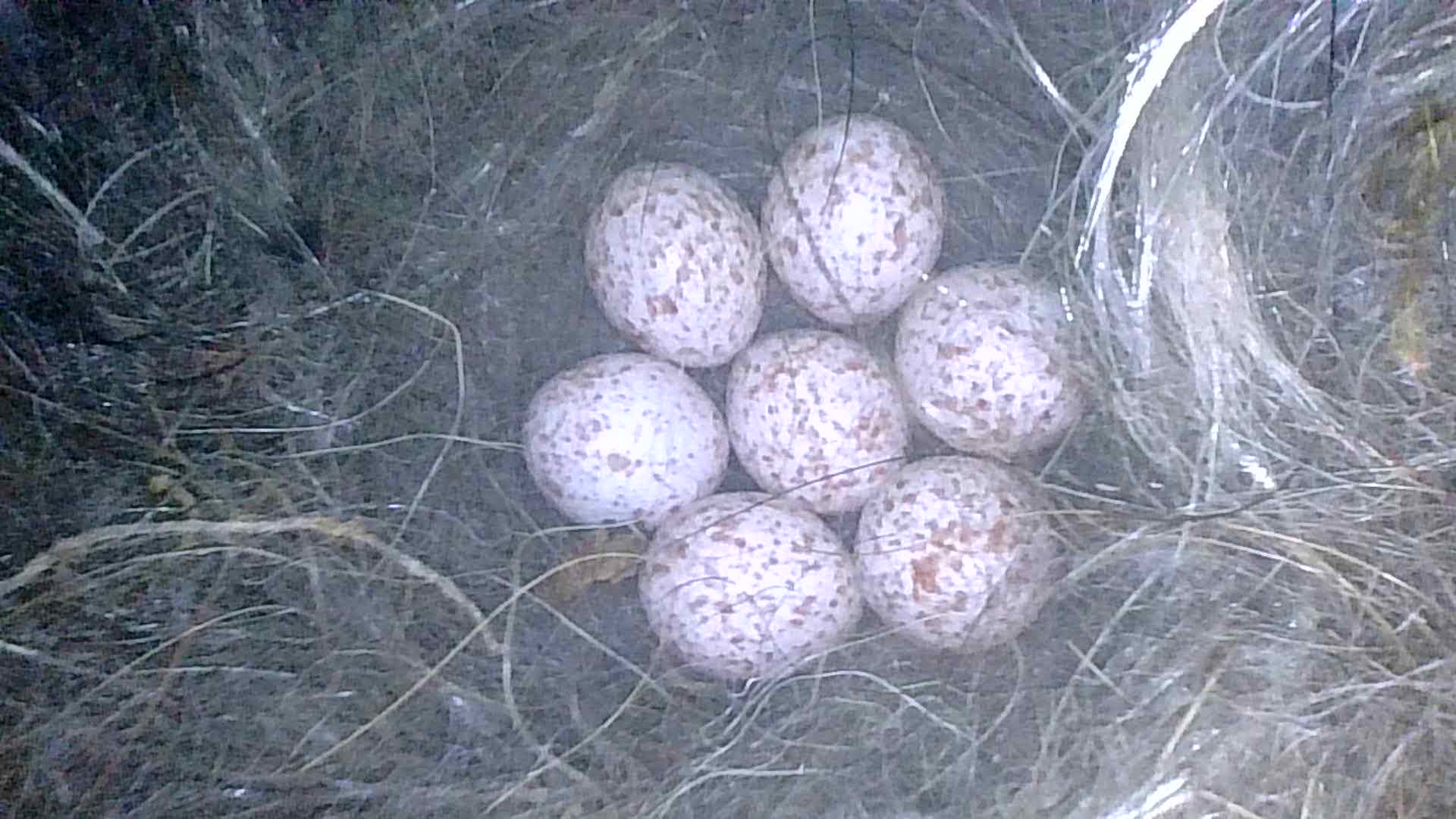 PHO00005. STA2425_1E.1(1_1)