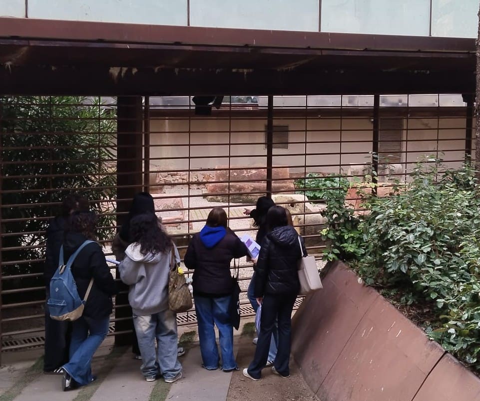 IMG-20260112-WA0005~2