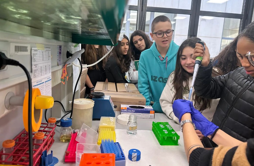 Ens endinsem en la recerca amb el BIST