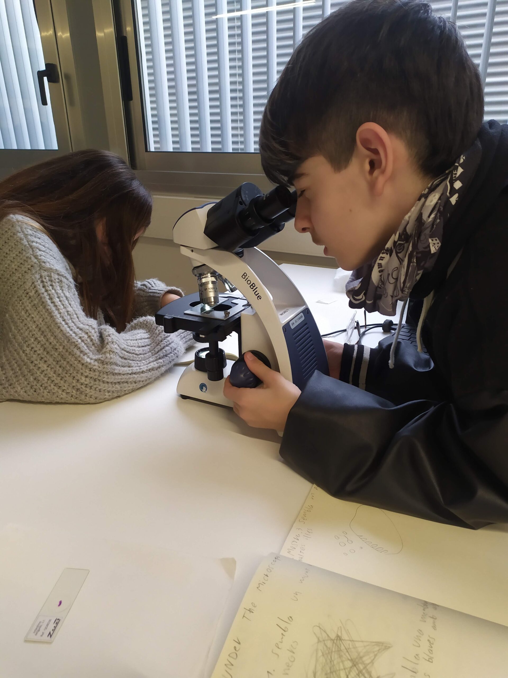 Ens endinsem en la recerca amb el BIST