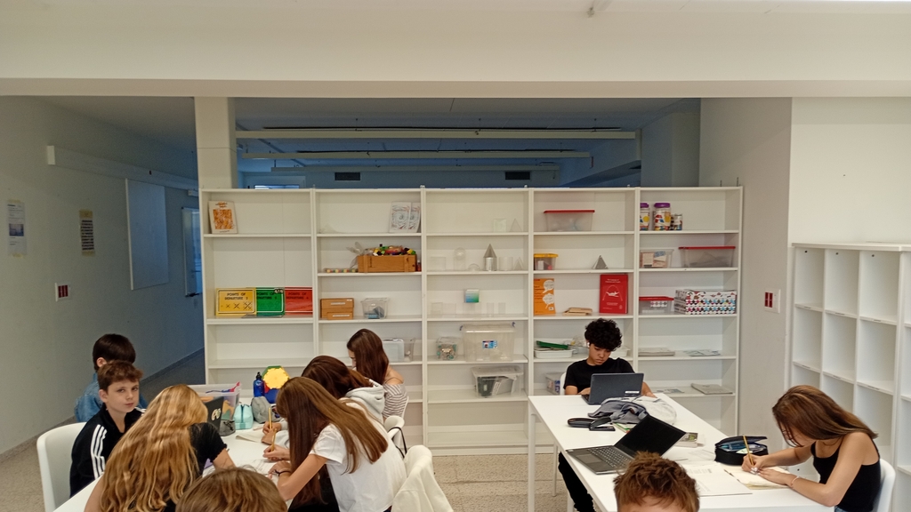 IMG_20250923_130349273_MFNR