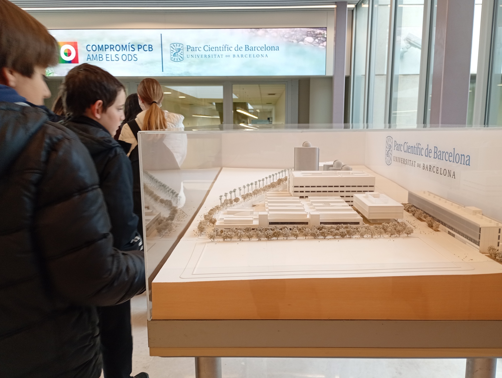 IMG_20260119_093725598_MFNR