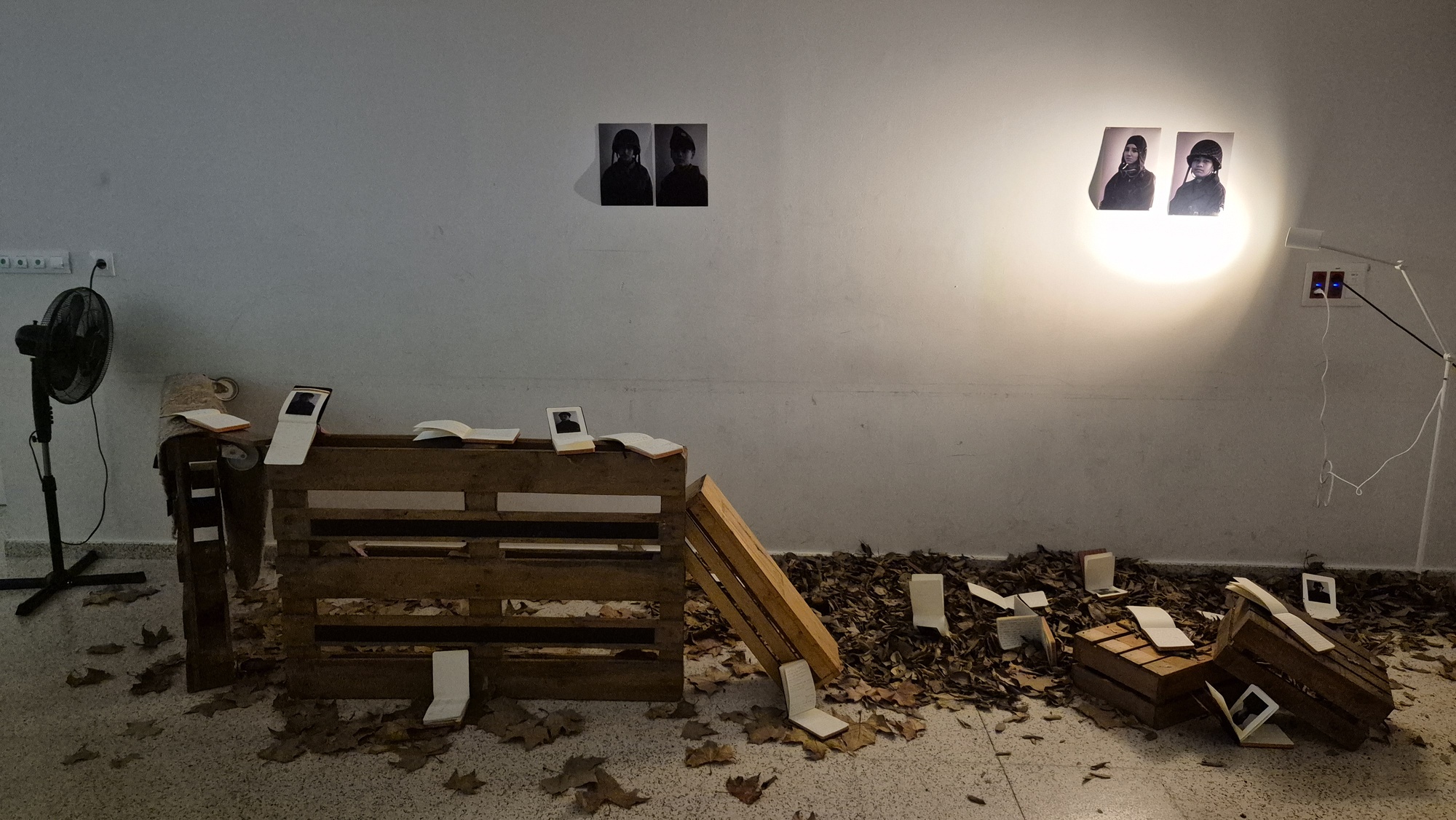 exhibici-pblica_54984146109_o