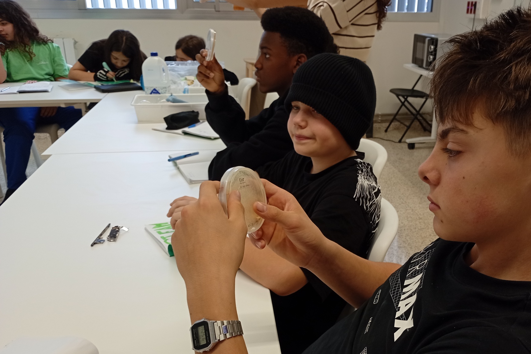 IMG_20260202_095033968_MFNR