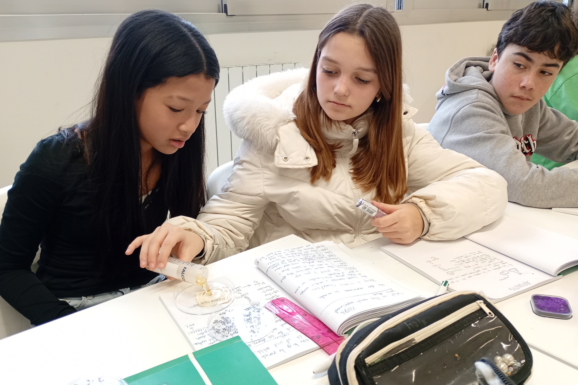 IMG_20260202_104030381_MFNR