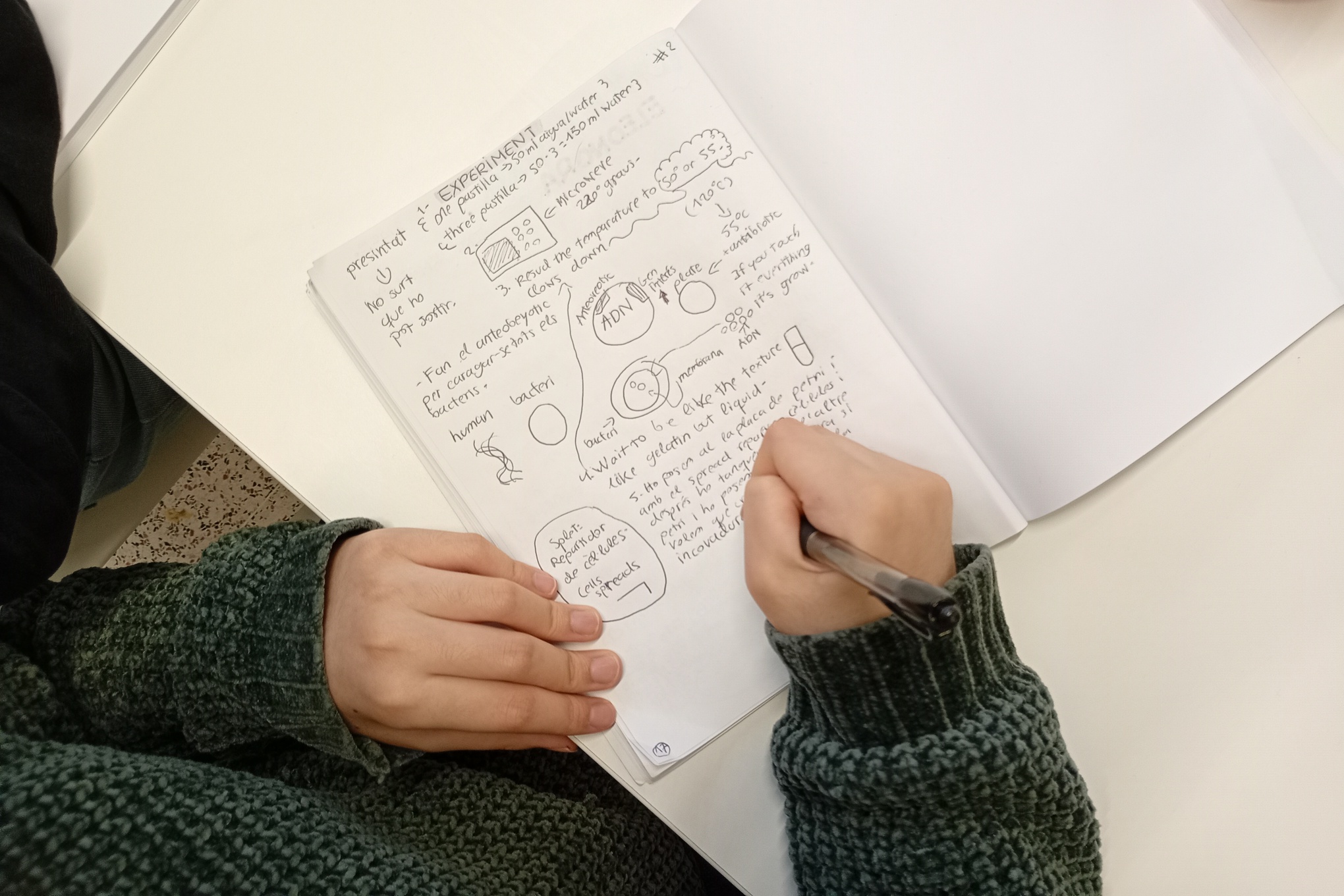 IMG_20260202_105500959_MFNR