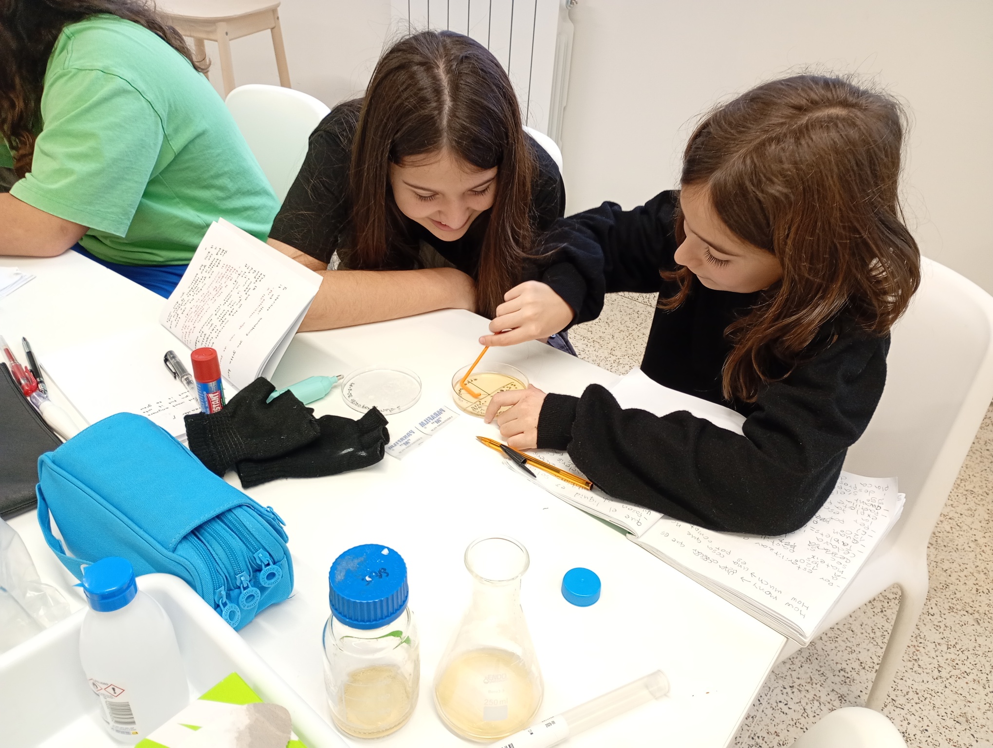 IMG_20260202_105833557_MFNR