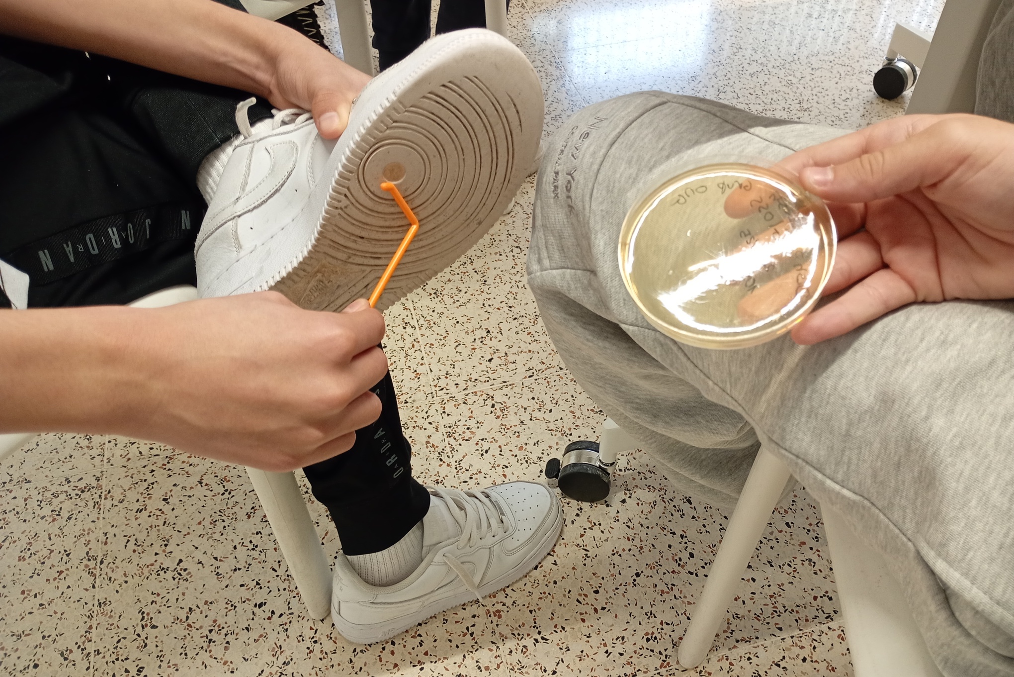 IMG_20260202_110003588_MFNR