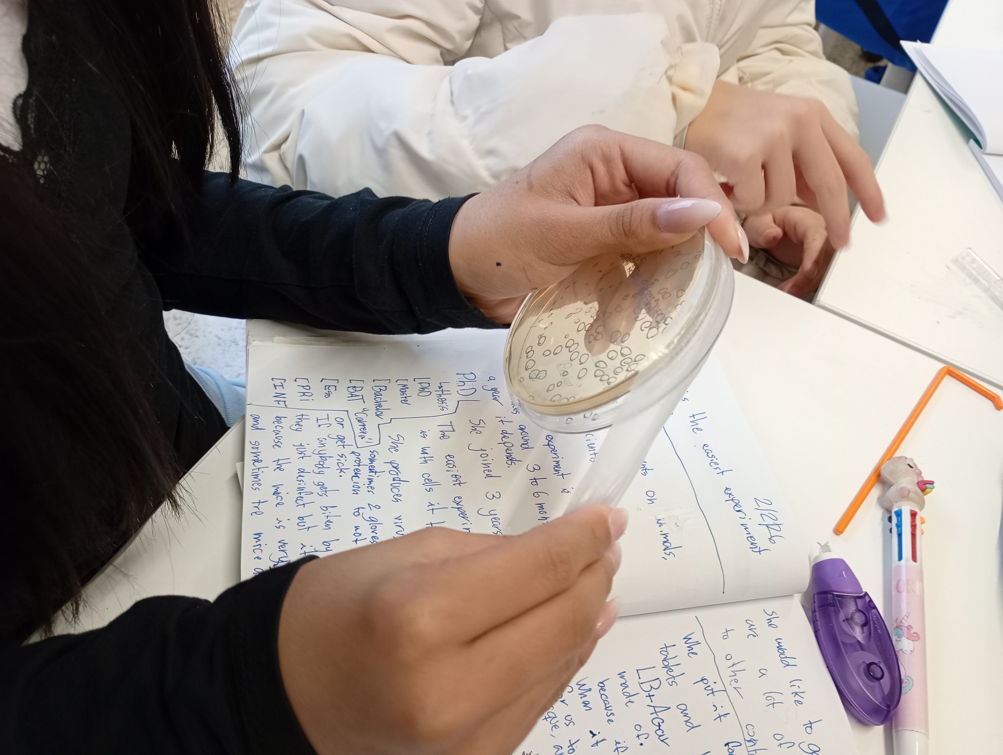 IMG_20260202_110101805_MFNR