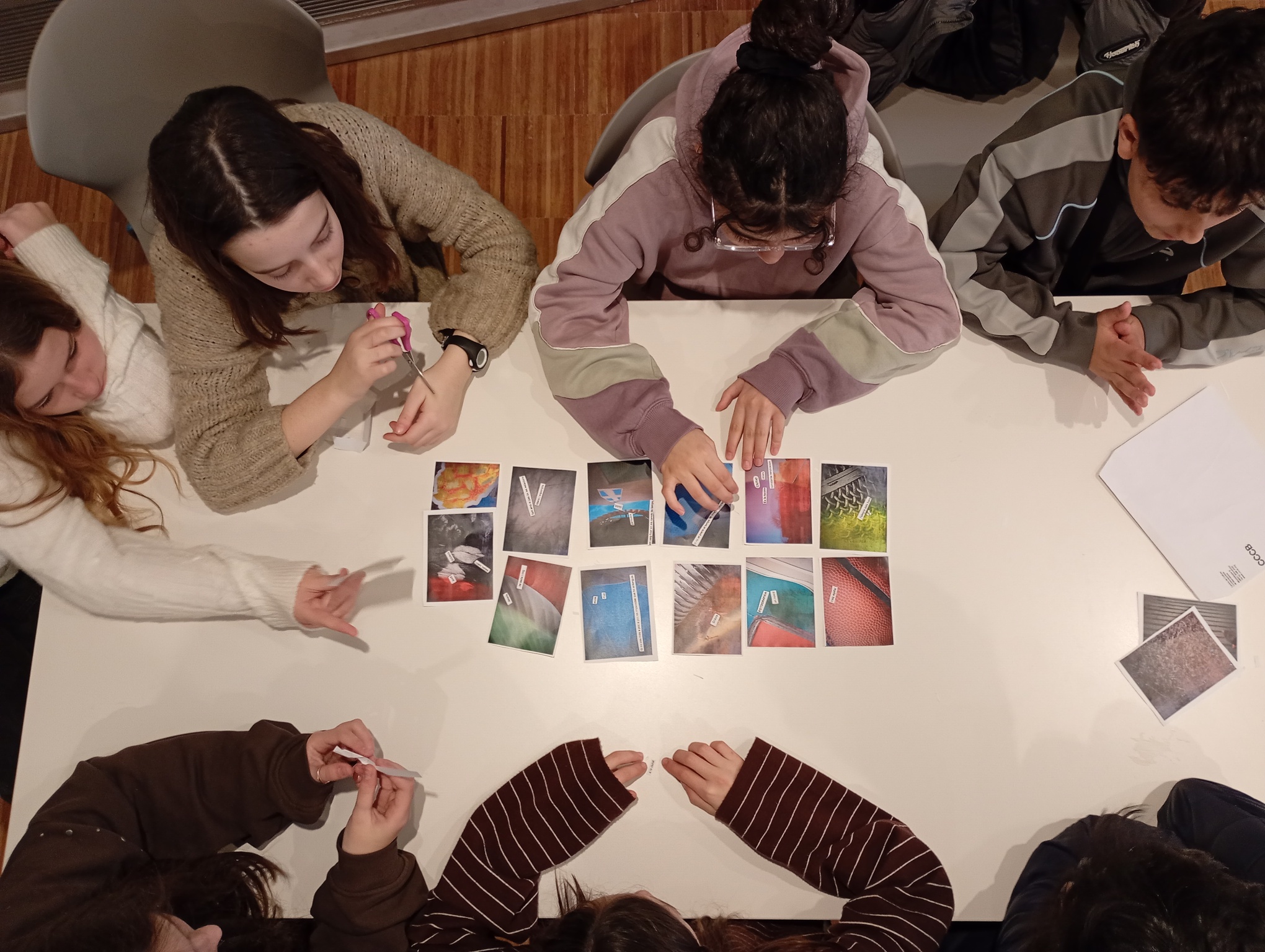 IMG_20260203_120810774_MFNR