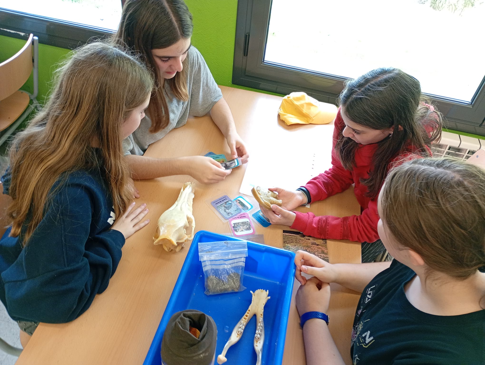 2T 2526 Colònies 1r ESO_0340_10.07.58 (1)