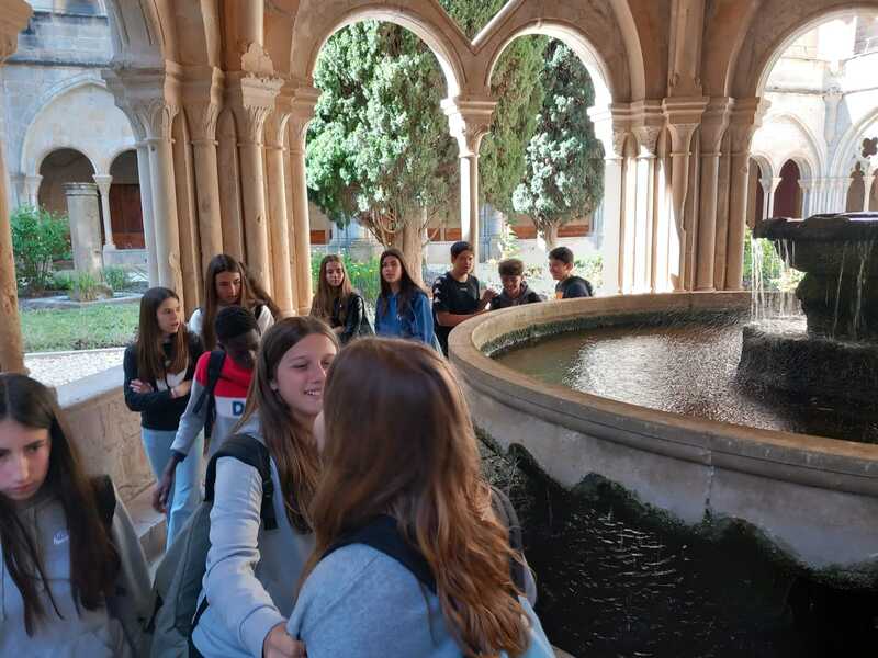 WhatsApp Image 2025-05-07 at 20.26.39 (1)