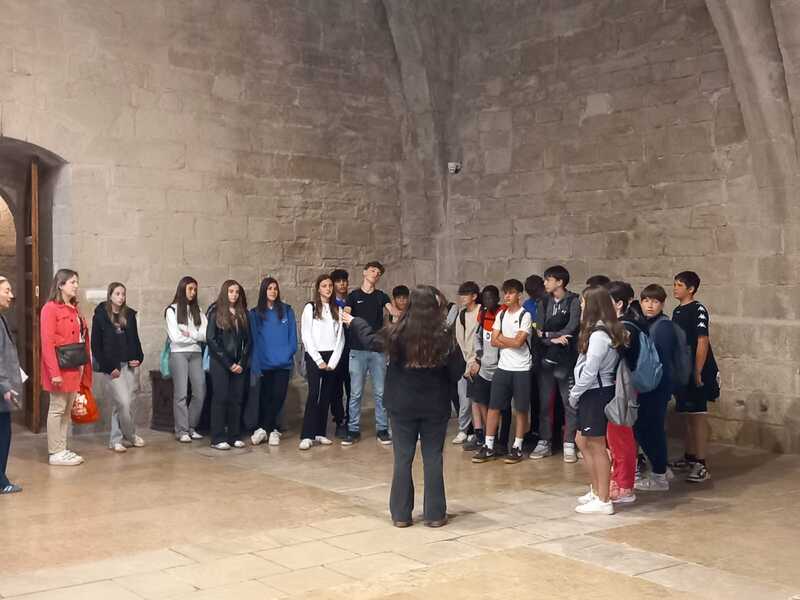 WhatsApp Image 2025-05-07 at 20.26.39