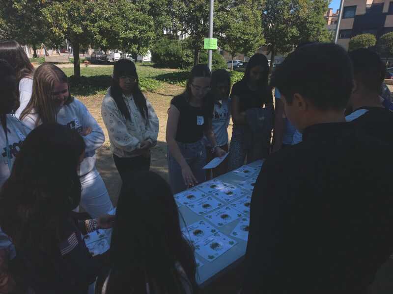 WhatsApp Image 2025-05-12 at 11.40.49