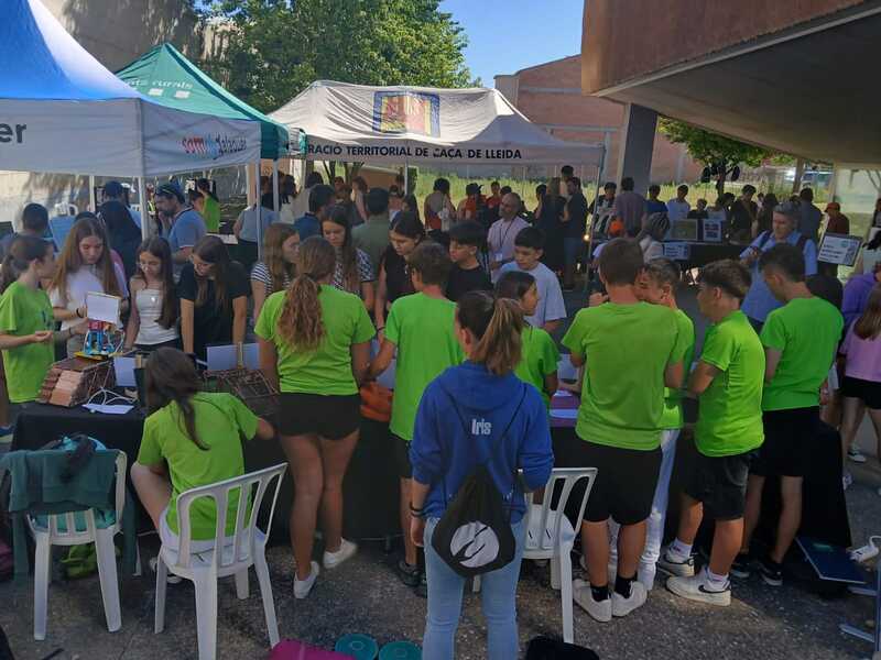 WhatsApp Image 2025-06-16 at 11.18.37