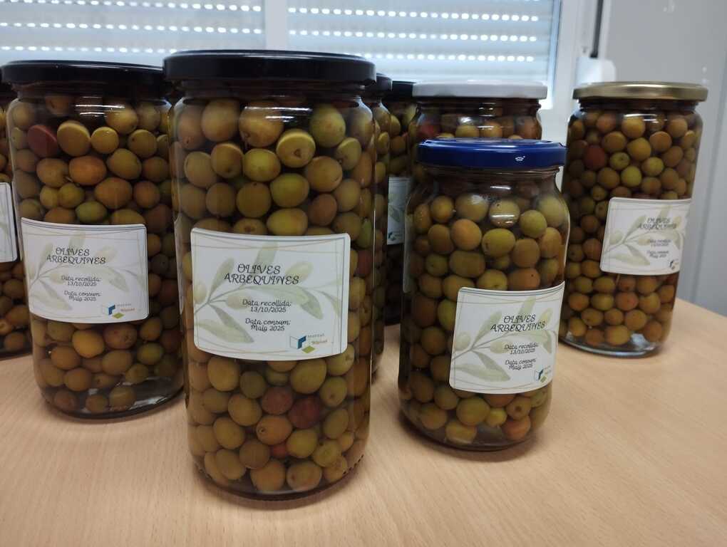 IMG-20251118-WA0003[1]