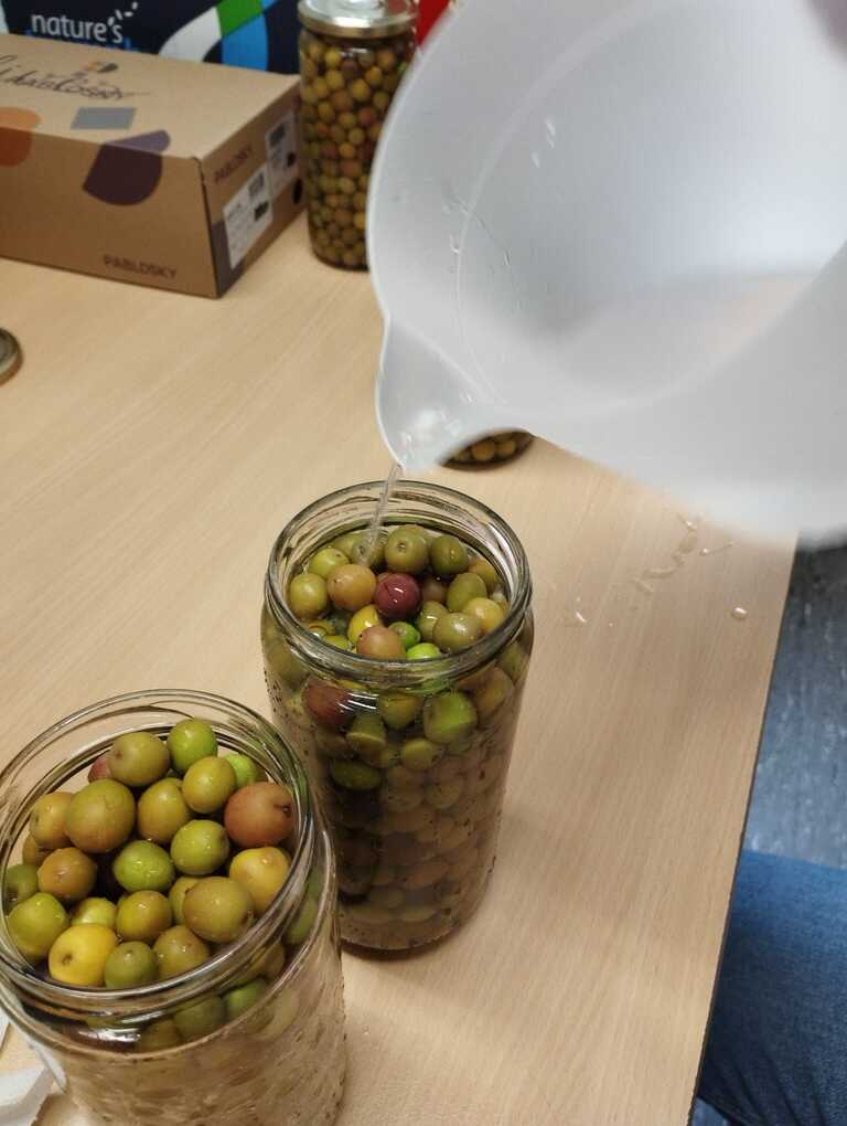 Imatge de WhatsApp 2025-11-18 a les 16.59.16_b5c7397b