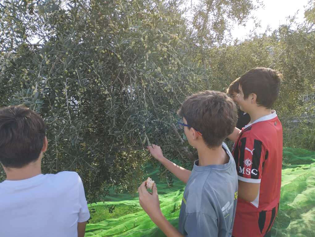 Imatge de WhatsApp 2025-11-18 a les 16.59.47_5b662faa