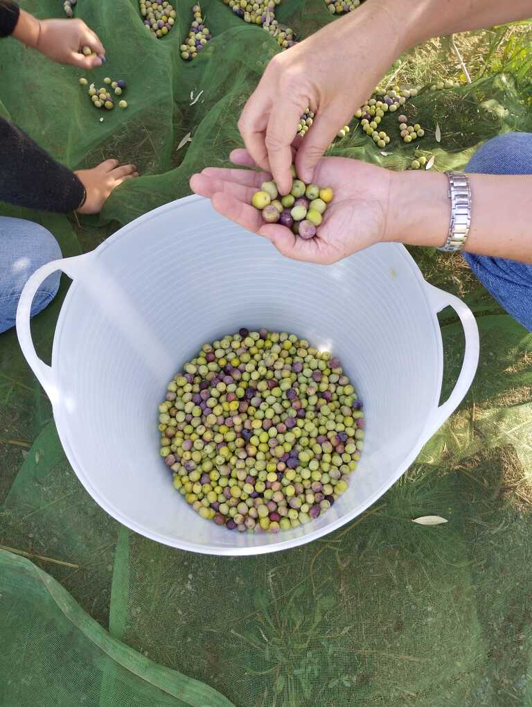 Imatge de WhatsApp 2025-11-18 a les 16.59.47_f14652f9