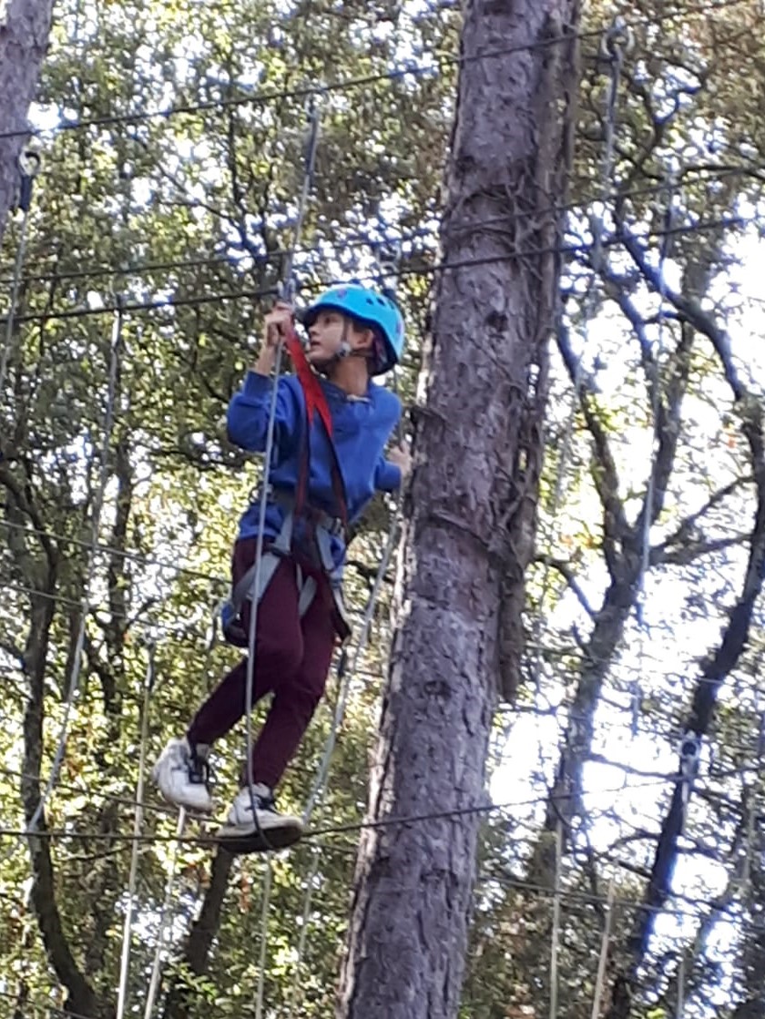 abe2fe29-d70c-4754-8203-a9565d0489bd (2)