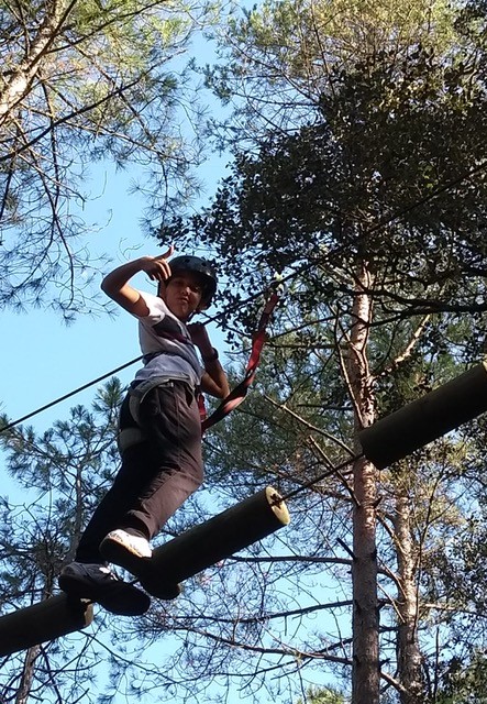 c71b3254-ad51-4245-abaa-d0422cea49c3 (2)