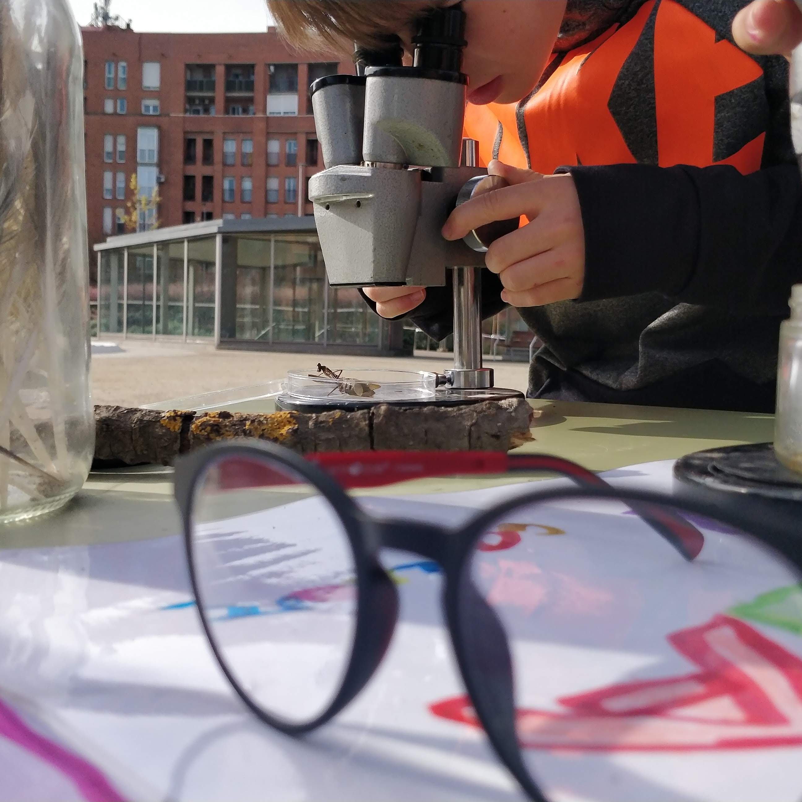 IMG_20191121_163843_476