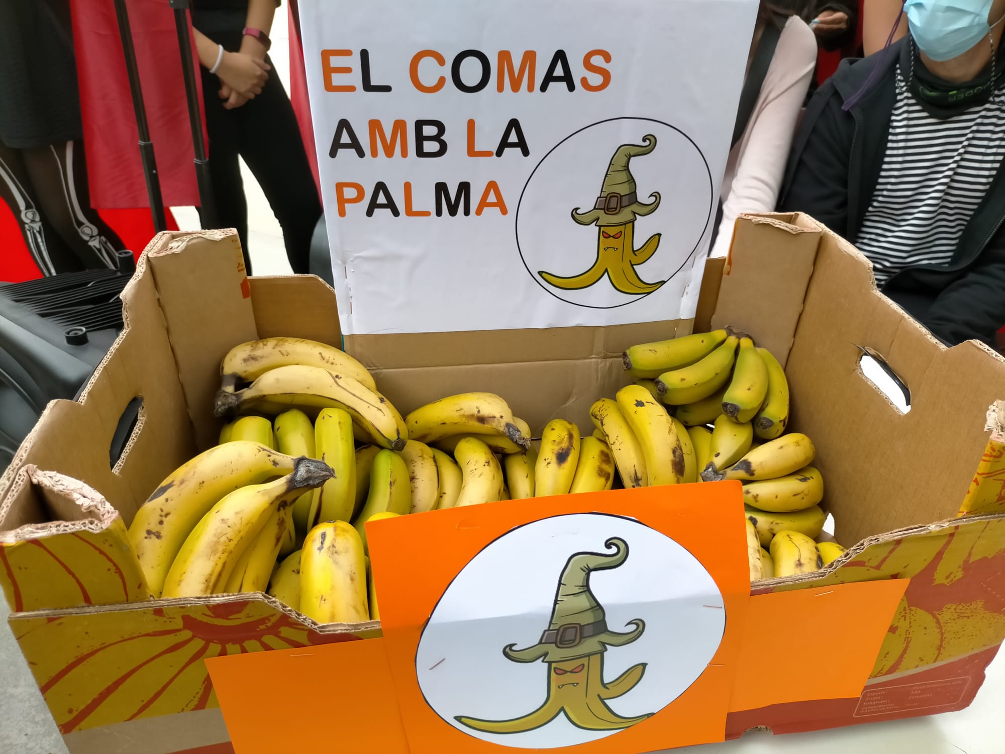 EL COMAS AMB LA PALMA