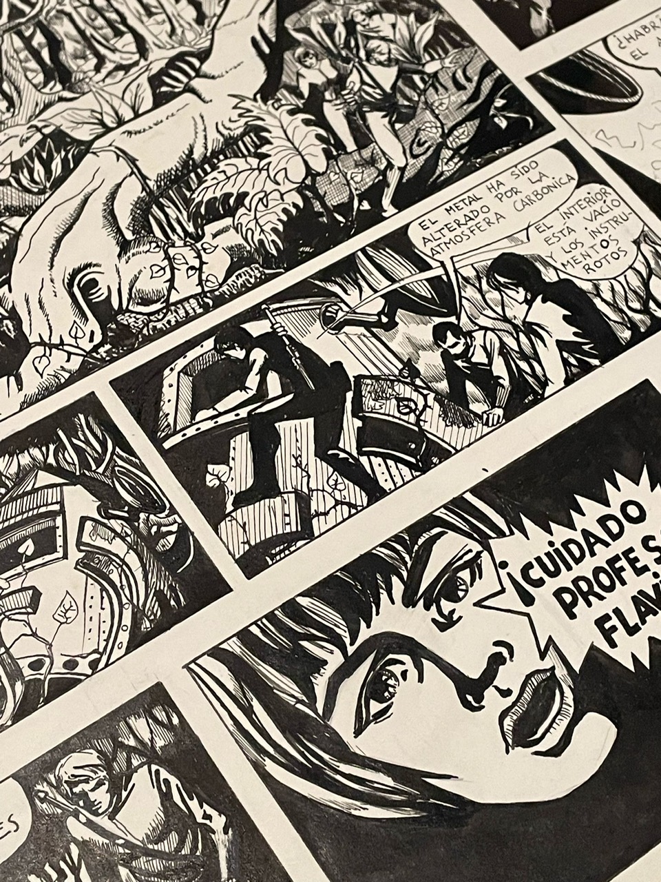 PHOTO-2025-02-19-17-11-09