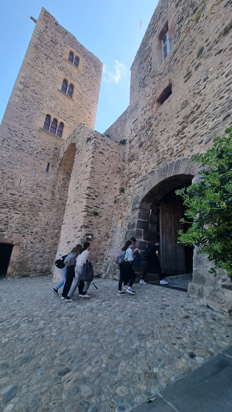 WhatsApp Image 2025-04-10 at 16.48.37