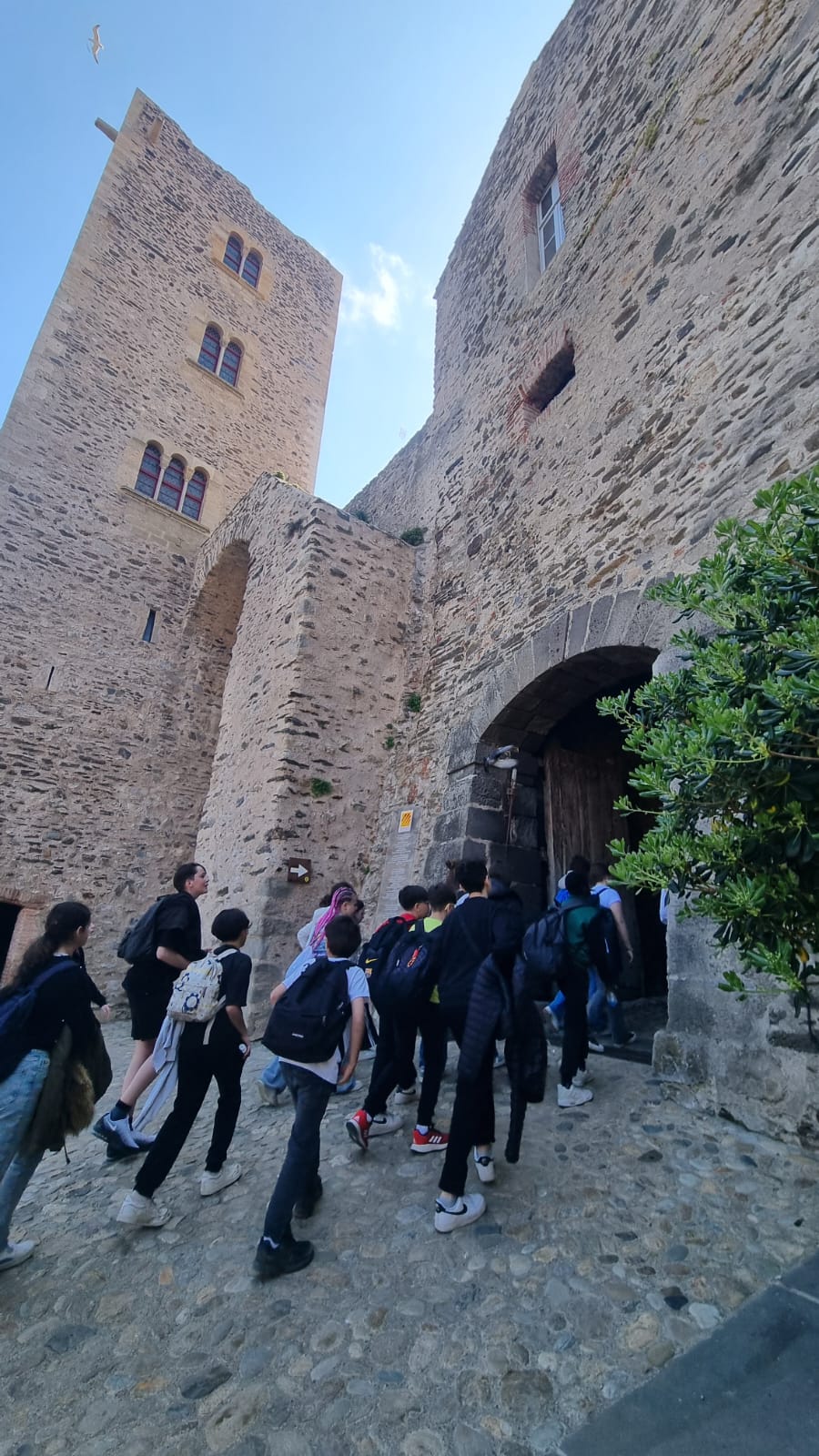 WhatsApp Image 2025-04-10 at 16.48.45