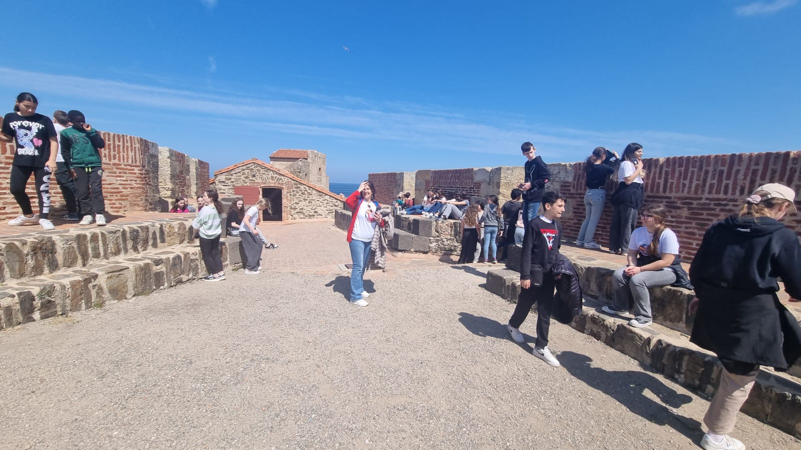 WhatsApp Image 2025-04-10 at 16.48.50