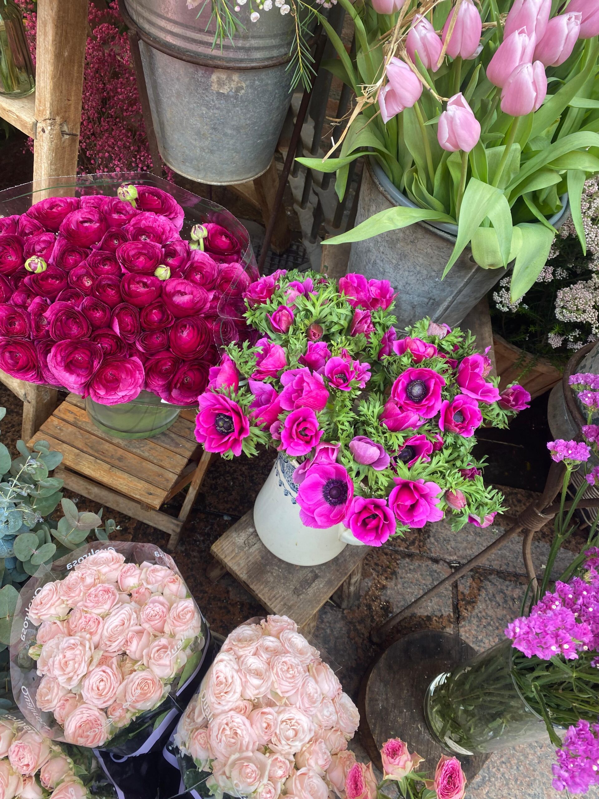 WhatsApp Image 2025-04-11 at 12.31.24 (1)