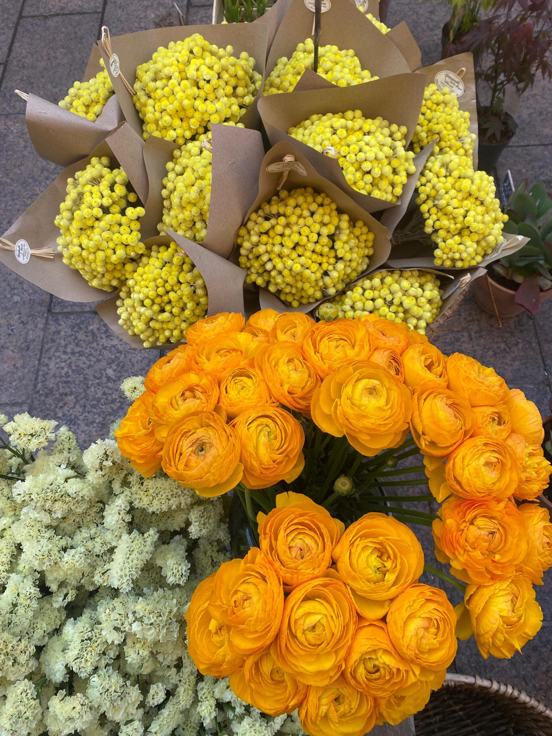 WhatsApp Image 2025-04-11 at 12.31.24