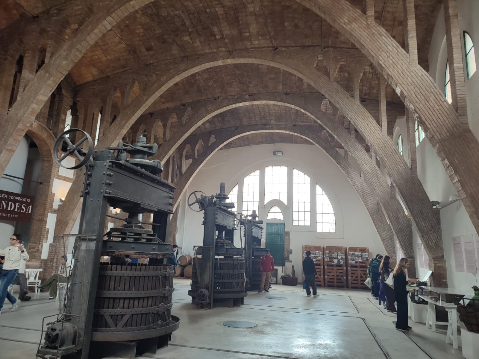 WhatsApp Image 2025-04-29 at 13.00.33